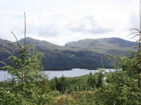 2103_o-schottland1Bild 490.jpg